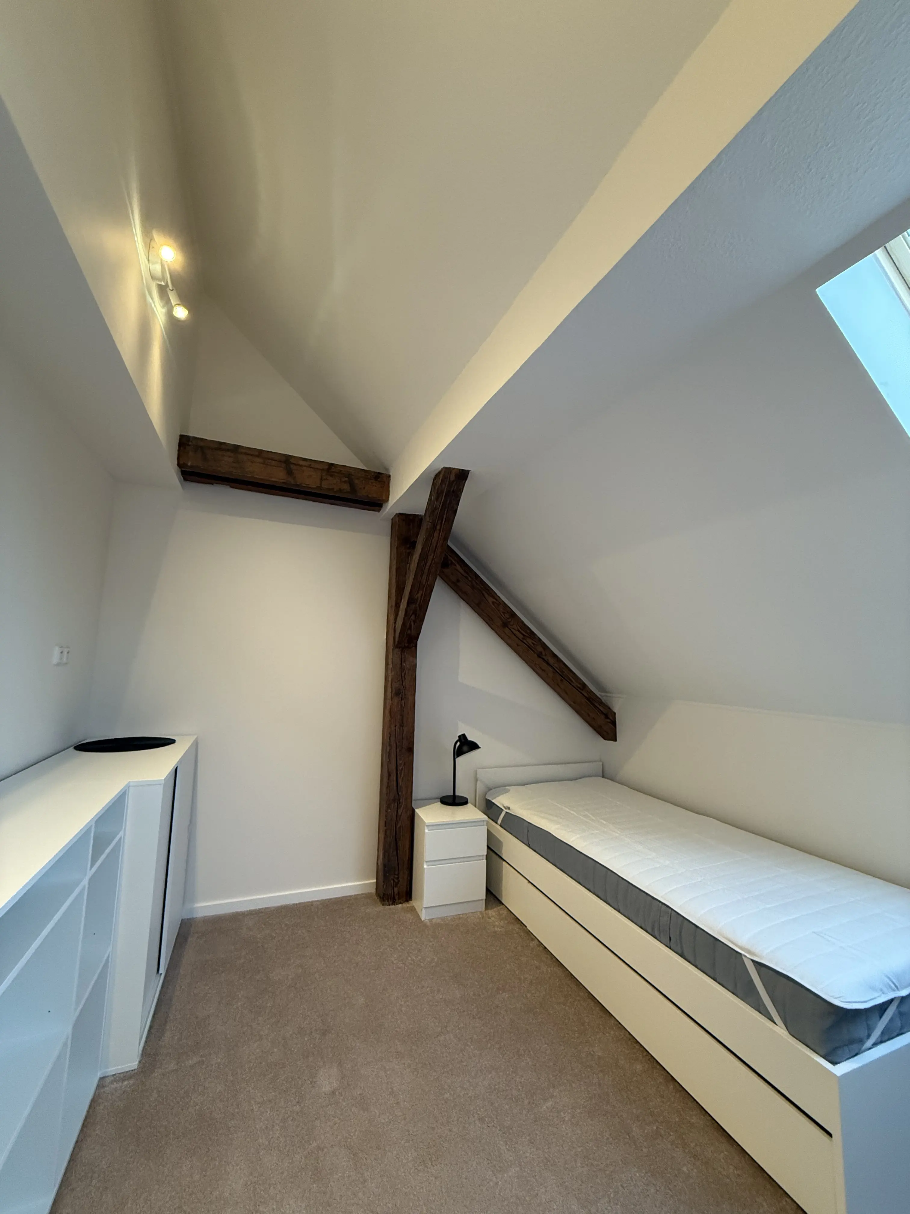 Studovna č. 4 - detaily